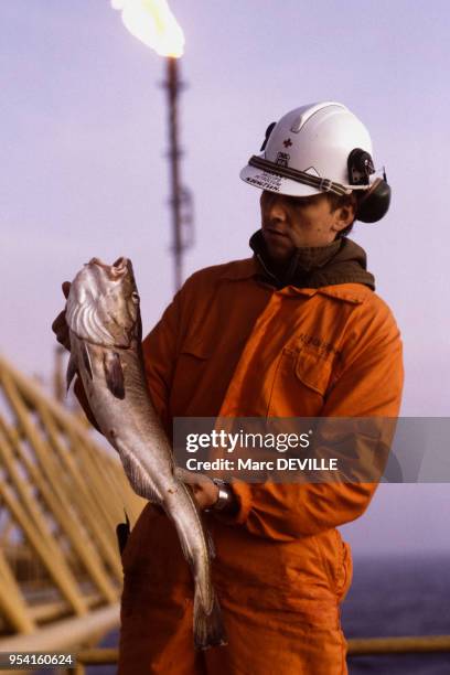 Sur la plate-forme pétrolière Ekofisk, un technicien vient de pêcher un poisson dans la mer du Nord le 2 novembre 1982.