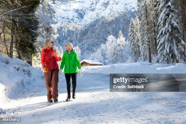 walking through the snow - winter sport walk old stock pictures, royalty-free photos & images