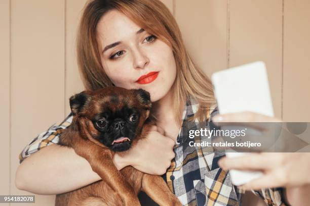 woman and her dog taking a selfie with smartphone - griffon bruxellois stock pictures, royalty-free photos & images