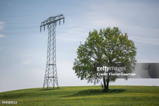 Power pole is located next to a tree on a hill on April 30, 2018 in Holtendorf, Germany.