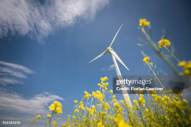 Wind turbine is pictured on April 30, 2018 in Schoepstal, Germany.