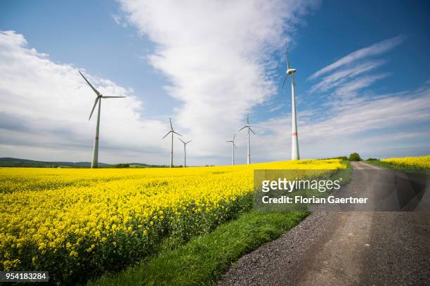 Wind turbines in a field of rape are pictured on April 30, 2018 in Schoepstal, Germany.