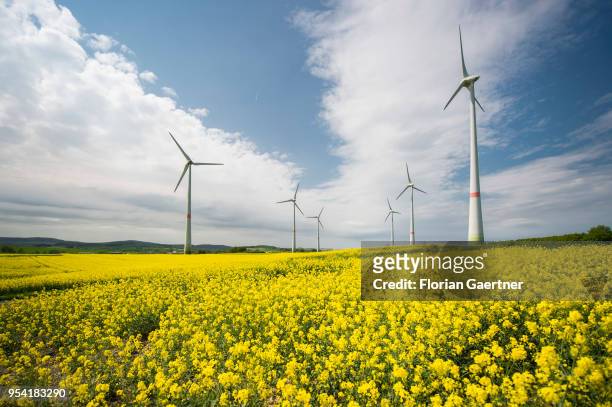 Wind turbines in a field of rape are pictured on April 30, 2018 in Schoepstal, Germany.
