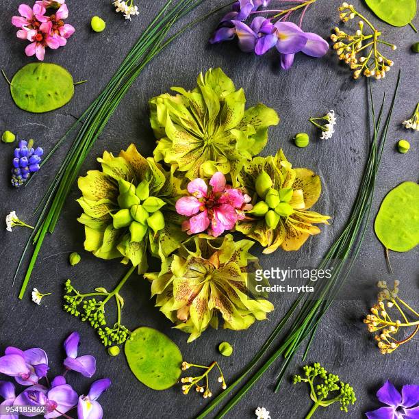 flower and leaf  composition - vinca major stock pictures, royalty-free photos & images