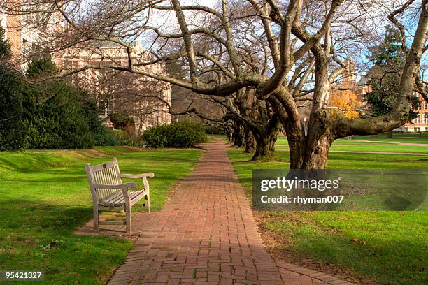 university of washington bench - fall in seattle stock pictures, royalty-free photos & images