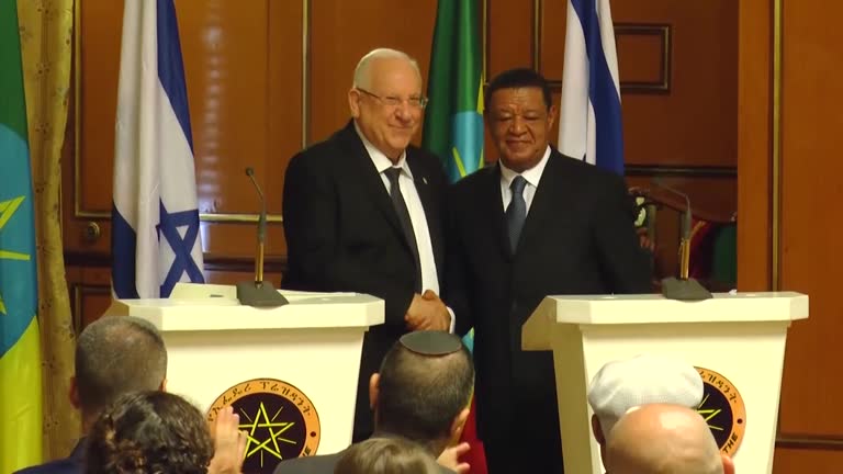 Mulatu Project 16 President Of Ethiopia Mulatu Teshome Wirtu Stock Videos, Footage ...