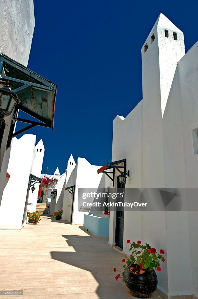 Bodrum houses