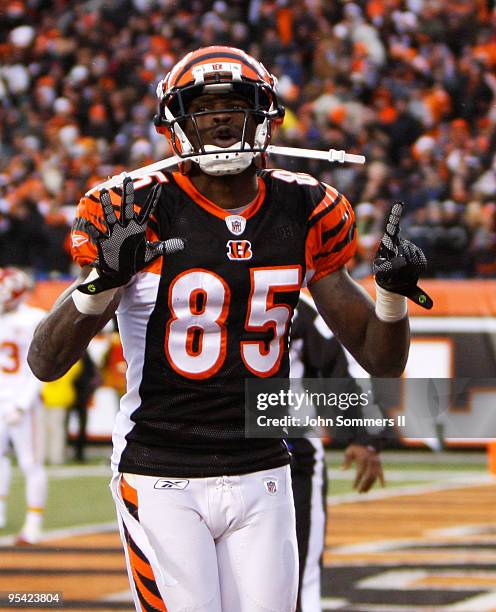 Chad Ochocinco of the Cincinnati Bengals celebrates his touchdown catch by holding up the number 15 in memory of Chris Henry against the Kansas City...