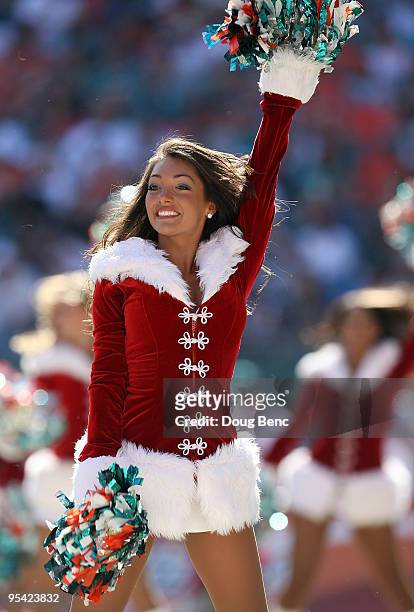 1,056 Dolphins Cheerleader Stock Photos, High-Res Pictures, and