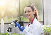 Agronomist woman with seedling in greenhouse