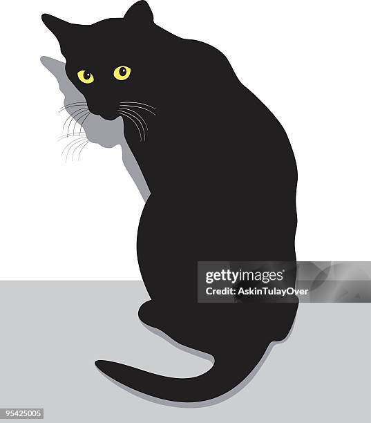 afraid cat - cat scared black stock illustrations