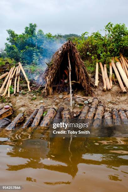 Rosewood logs are strapped to lighter timber to make a floating raft. Each rosewood log results in over 6 others trees being felled, along with...