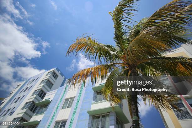 the park central hotel along ocean drive in south beach, miami beach, florida, usa - central florida v south florida stockfoto's en -beelden