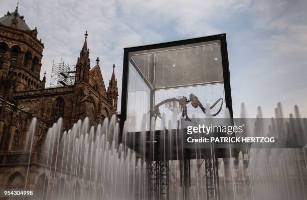 Mammoth skeleton on a lifting platform is seen behind water fountains as part of the installation 'Mammuthus Volantes' by French artist and architect...