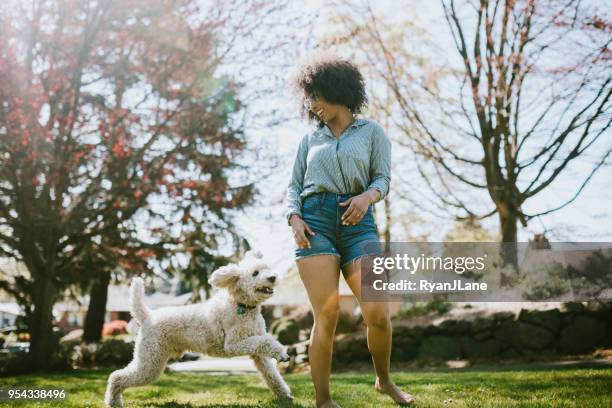 a young woman plays outside with pet poodle dog - shorts stock pictures, royalty-free photos & images