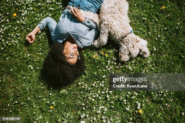 una joven descansa en la hierba con perro poodle del animal doméstico - cuddling animals fotografías e imágenes de stock