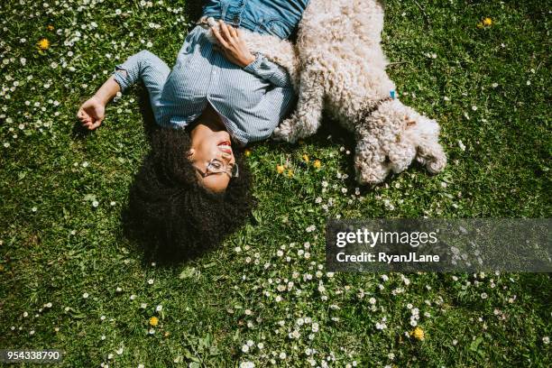 een jonge vrouw ligt in het gras met huisdier poedel hond - op de rug liggen stockfoto's en -beelden