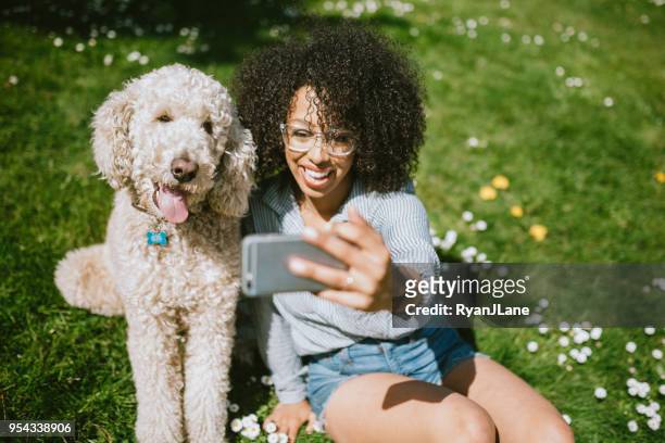 eine junge frau nimmt selfie mit haustier pudelhund - frauen hund park stock-fotos und bilder