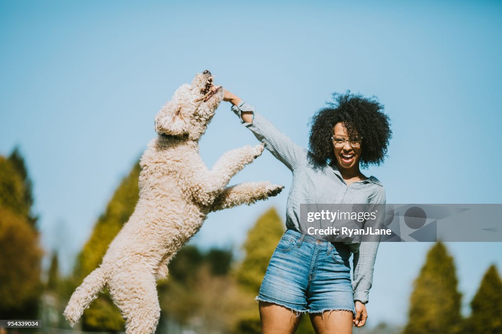 Una joven juega con el perro Poodle del animal doméstico