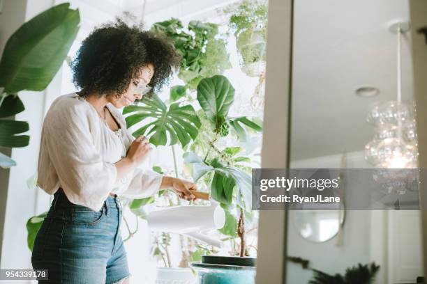 uma jovem mulher águas dela houseplants - houseplant - fotografias e filmes do acervo