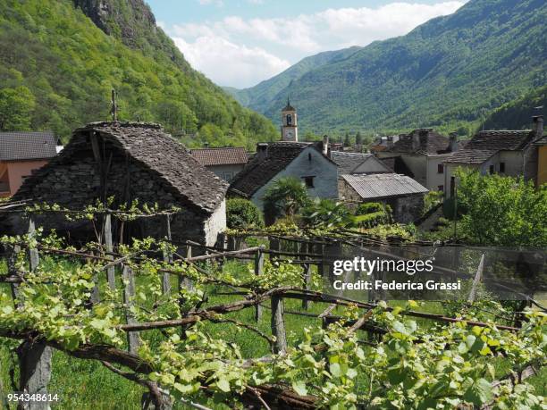 giumaglio, traditional village in maggia valley, ticino, switzerland - giumaglio stock pictures, royalty-free photos & images
