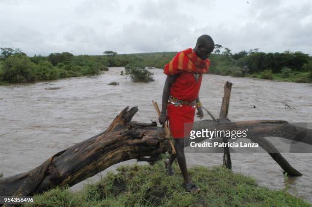 View of a Maasai warrior, in traditional attire and with a rungu in his hand, as he walks on a bank of the Mara River, Kenya, December 26, 2006.