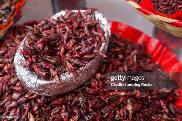 Chapulines or Grasshoppers at Mercado Benito Juarez, Oaxaca City, Oaxaca, Mexico,