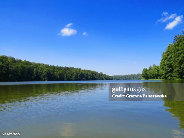 szelag lake maly, warmian-masurian voivodeship, poland - masuria stock pictures, royalty-free photos & images