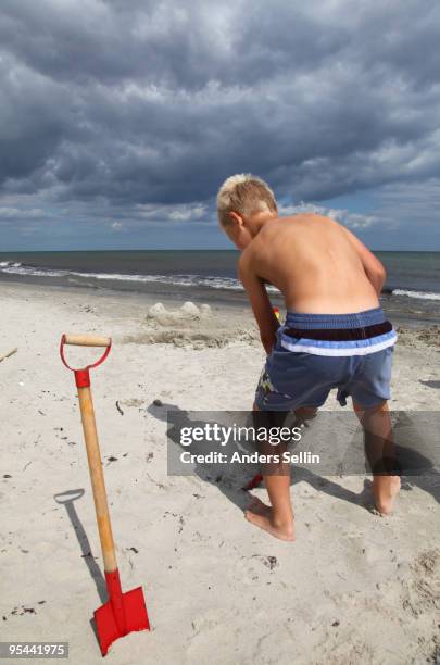 young boy digging on the beach - österlen stock-fotos und bilder