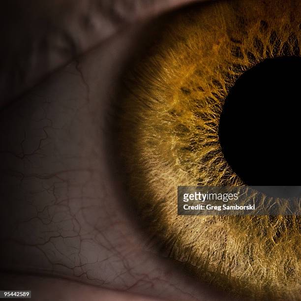 eyeball macro exposing stroma of iris and pupil - stroma stock pictures, royalty-free photos & images