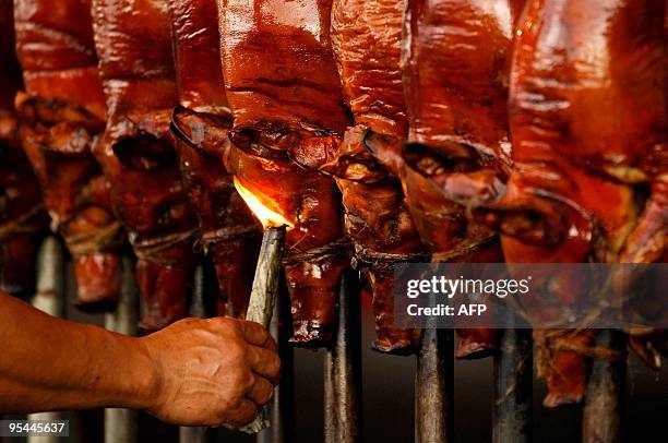 Roasted pigs are in display at a store in the Manila suburbs on December 20, 2009 ahead of Christmas Day. "Lechon", or roasted pig, has always been a...