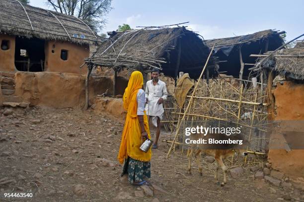 Man and a woman talk as a calf walks past in Kraska village, Rajasthan, India, on Monday, April 16, 2018. The Indian government is trying to relocate...