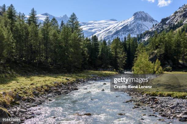 hohe tauern, großvenediger, gschlößtal - hohe tauern national park stockfoto's en -beelden