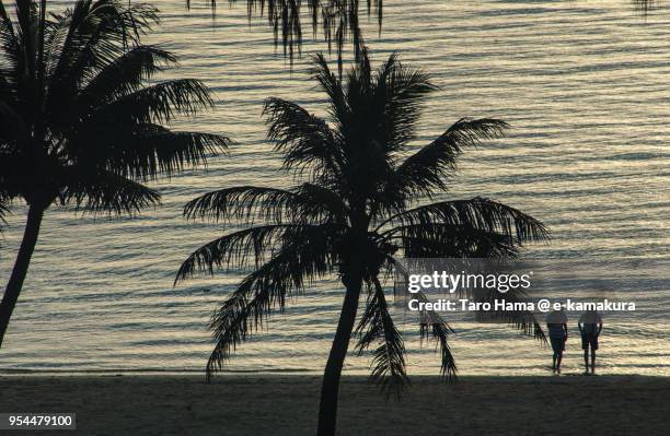 micro beach in saipan in the sunset - saipan - fotografias e filmes do acervo