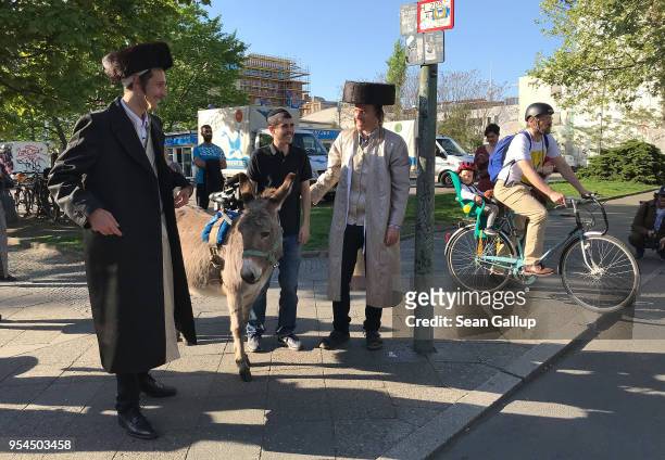 Performance artists Veli & Amos are dressed as Ultra-Orthodox Jews as they follow a guide and a donkey while shooting a film in immigrant-heavy...