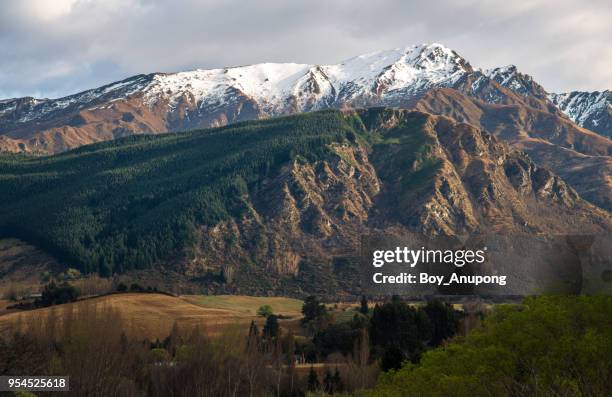 the spectacular landscape of the mountains in otago region in south island of new zealand. - region otago stock pictures, royalty-free photos & images