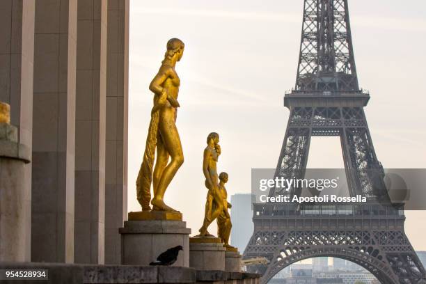 eiffel tower seen from the place du trocadéro - statue paris photos et images de collection