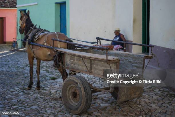 cuban horse cart - sancti spiritus provincie stockfoto's en -beelden