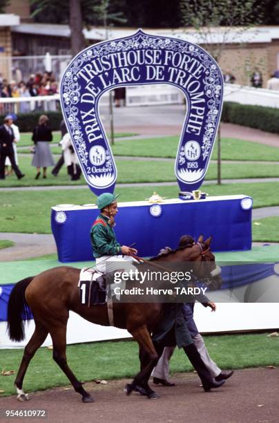 Le jockey Yves Saint-Martin sur son cheval Sagace lors du prix de l'Arc de Triomphe le 3 octobre 1983 à Paris, France.