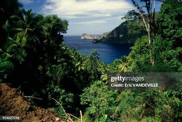 Forêt en bordure d'océan en février 1989 sur l'île de Sainte-Lucie.