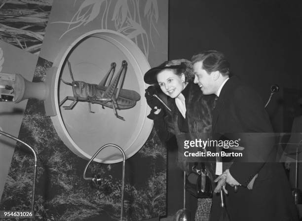 Actors Sheila Sim and Richard Attenborough listen to a cricket through a microphone at the Festival of Britain exhibition on London's South Bank, 7th...