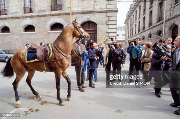 Présentation aux médias du cheval de race Akhal Teke baptisé 'Gendjim' offert au président de la République François Mitterrand le 5 mai 1994 à...