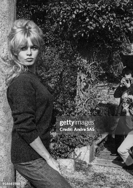 Brigitte Bardot pose pour les photographes, circa 1960, France.