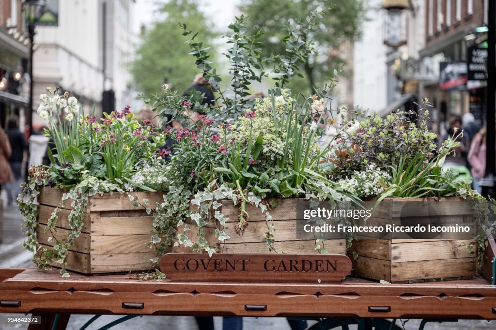 Covent Garden, London, Uk