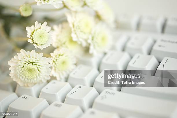 58 Flower Keyboard Symbol Stock Photos, High-Res Pictures, and Images ...