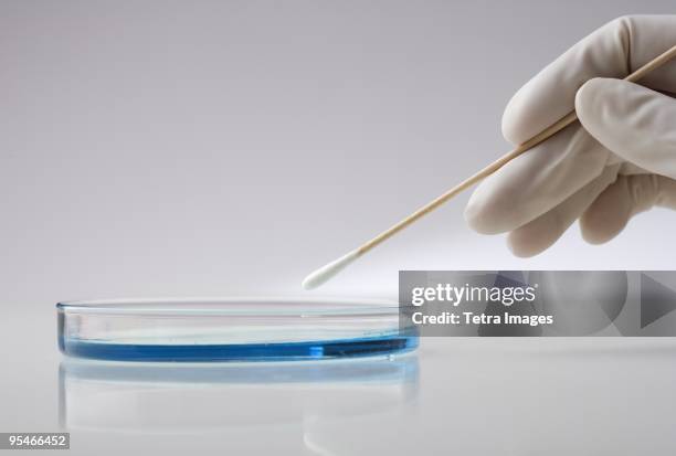 Hand Sampling 262 Plastic Petri Dishes Stock Photos, High-Res Pictures, and Images ...