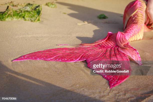 beautiful pink mermaids tail on the beach. mettam's pool, north beach - western australian beach. - mermaid tail stock-fotos und bilder