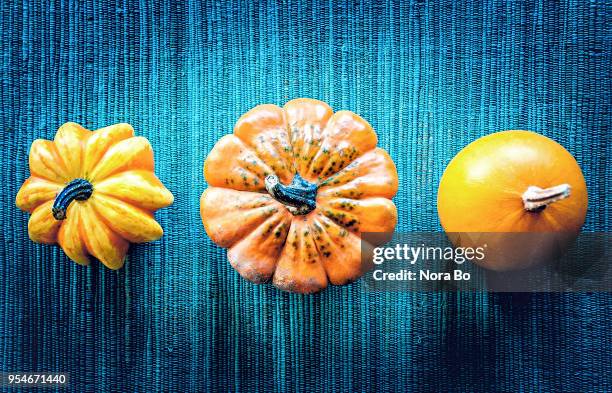 three pumpkin - pumpkins in a row stock pictures, royalty-free photos & images