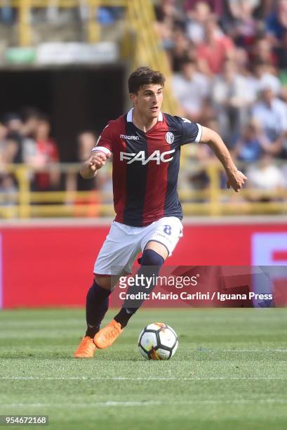 Riccardo Orsolini of Bologna FC in action during the serie A match between Bologna FC and AC Milan at Stadio Renato Dall'Ara on April 29, 2018 in...