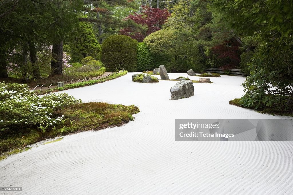 Zen garden